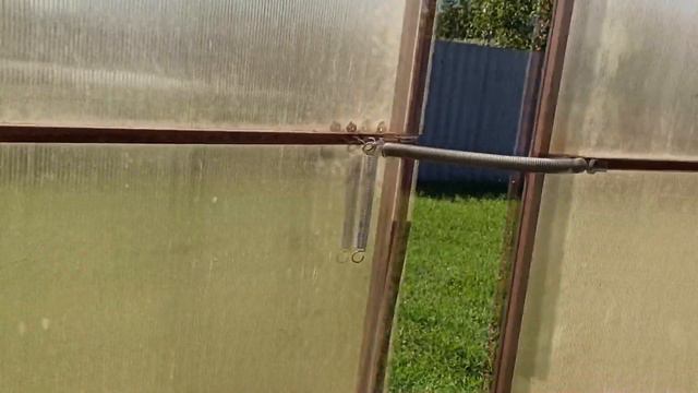 Огурцы, помидоры и картофель 01.07.20 смотреть онлайн