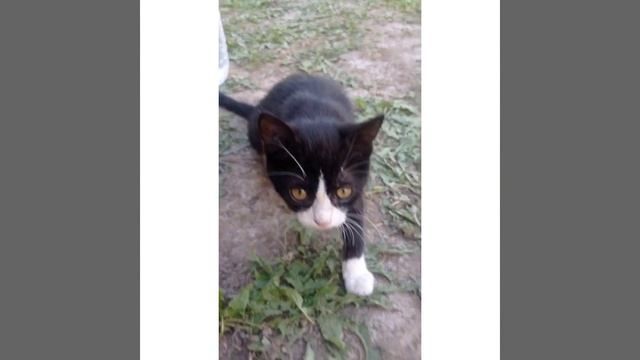 Гречка с Тушенкой в КАЗАНЕ!!! ВСЕМ СОВЕТУЮ!!! НЕРЕАЛЬНО ВКУСНО!!!! смотреть онлайн