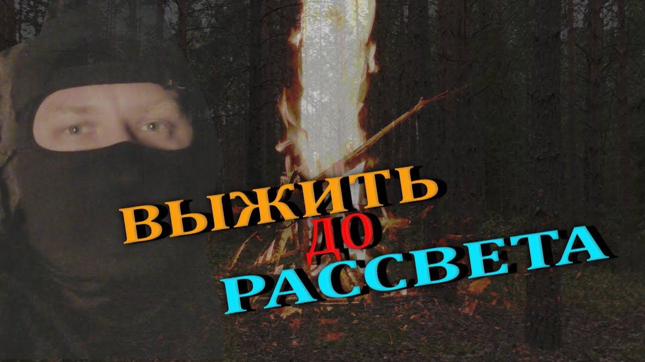 Аномальный Лес Ч2. Ночь в Странном Лесу. В ПОИСКАХ ПРИЗРАКА смотреть онлайн