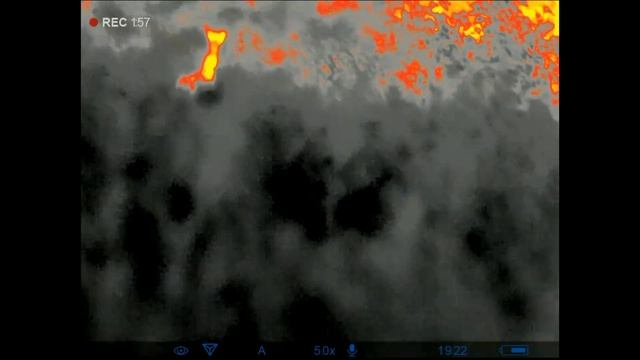 Pulsar Helion 2 XP50 Pro - First Deer Spotted