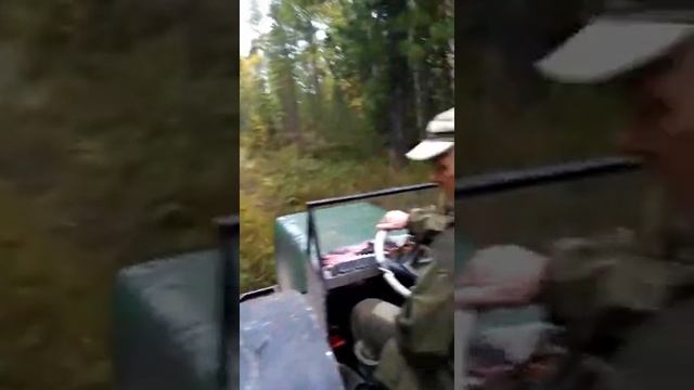 Посёлок Сосьва в теме. смотреть онлайн