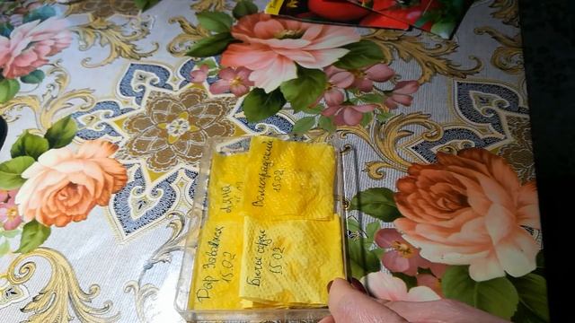 Любимый способ проращивание семян. Семена томатов. смотреть онлайн