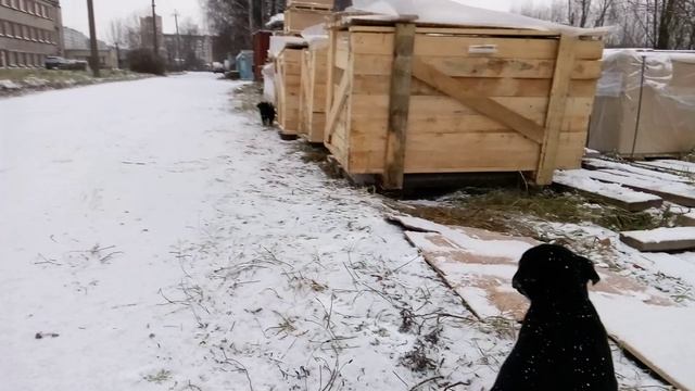 05.12.2015 смотреть онлайн