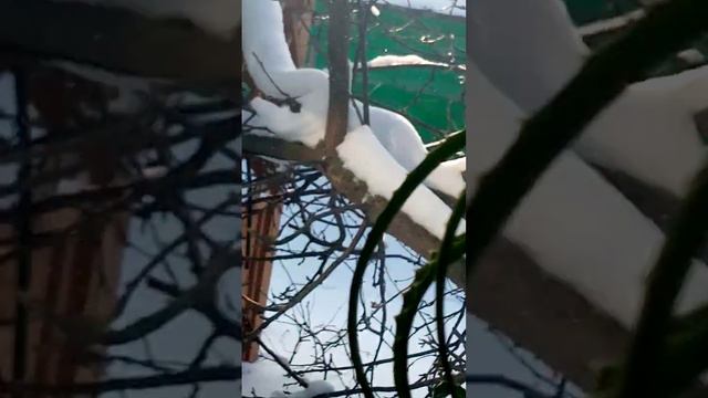 Не вернусь 💖💖💖💖💖💖💖💓💓💓💓💓 смотреть онлайн