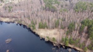 Поселок Фрол. Поселение Пышлинское. Река Ялма. Шатурский район. Московская область