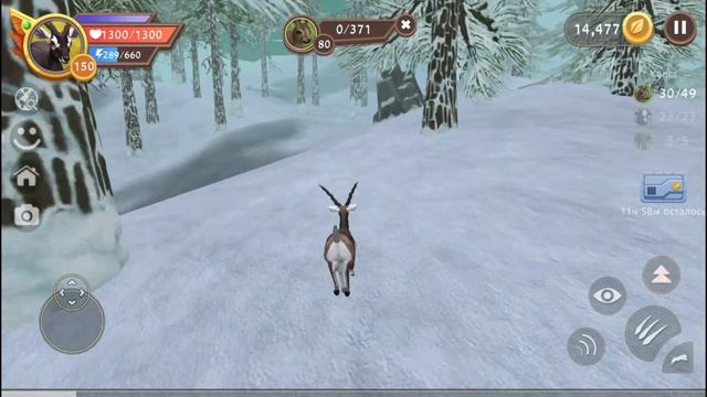 Много зайцев, но быстрый квест! WildCraft смотреть онлайн