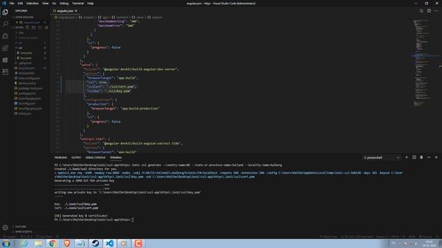 Angular & Ionic - How to serve with SSL смотреть онлайн