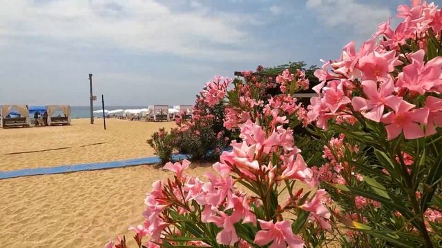 ТУРЦИЯ / АЛАНЬЯ / ОТЕЛЬ LONG BEACH RESORT/ НАШЕ ПУТЕШЕСТВИЕ смотреть онлайн