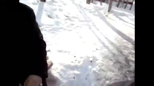 Учимся делать заднее сальто XD