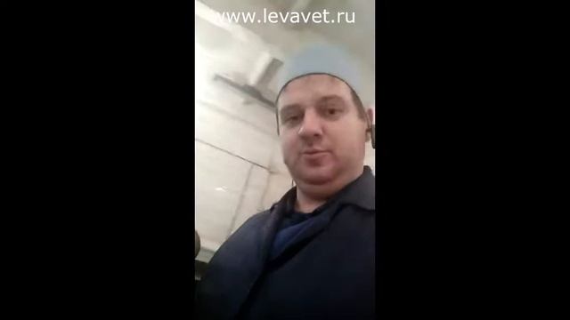 Жизнь быков производителей смотреть онлайн