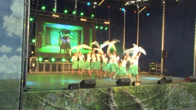 Вербы "Биоритм" (День города) смотреть онлайн