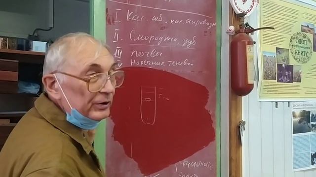 Мухачёв о реинтродукции дуба черешчатого смотреть онлайн