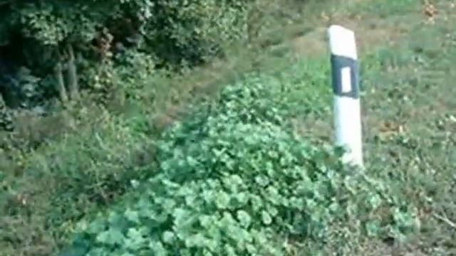 Как в Тербунах создают условия для смертей на дорогах смотреть онлайн
