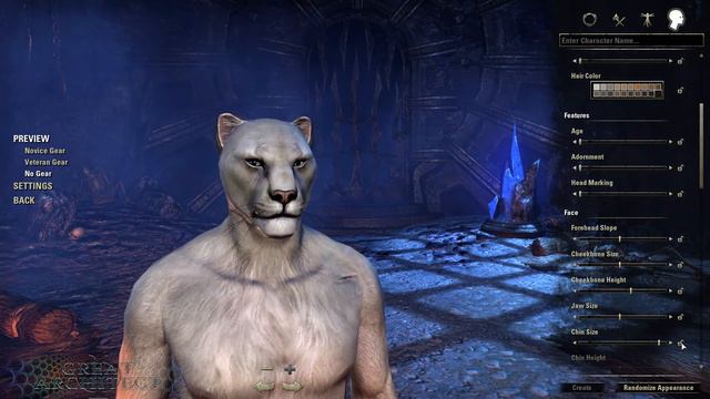 Guide to ESO - Episode 10: Khajiit смотреть онлайн