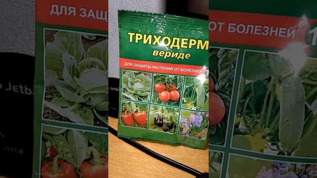 phytophthora..как избежать фитофторы . препарат ТРИХОДЕРМА ВЕРИДЕ смотреть онлайн