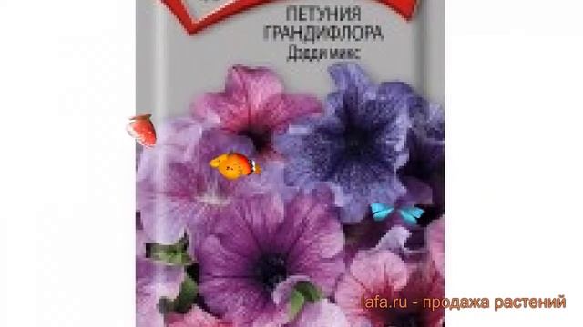 Петуния грандифлора Дэдди микс (deddi miks) ? обзор: как сажать, семена петунии Дэдди микс смотреть онлайн
