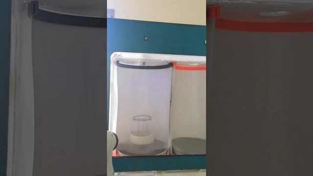 Simulated Wash Cycle смотреть онлайн