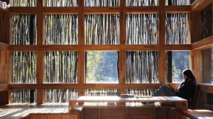 Топ 5 невероятных библиотек. Потрясающие библиотеки мира, где можно найти не только книги