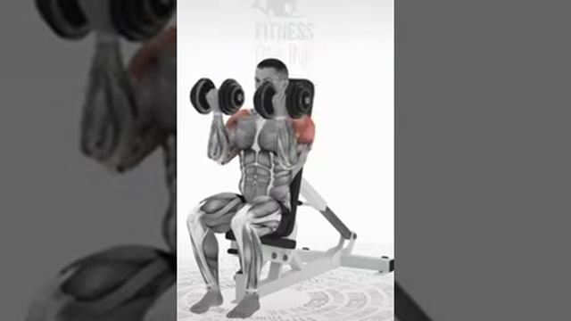 Жим Арнольда сидя смотреть онлайн