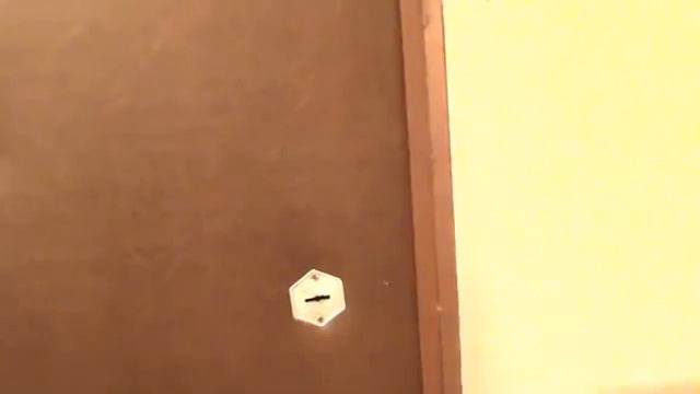 Копия видео 