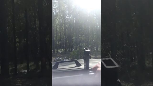 вездеход привод Ниссан Жук. по лесу? смотреть онлайн