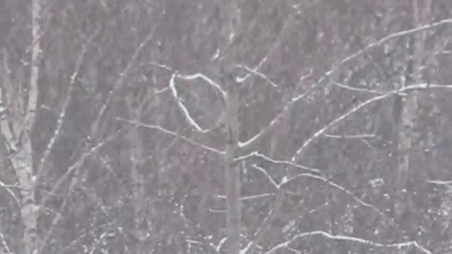 Снег в Москве 08-01-2010 смотреть онлайн