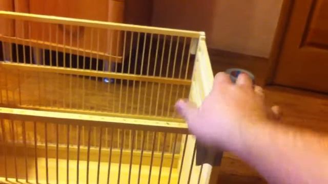 клетка для попугая своими руками ч. 11 смотреть онлайн