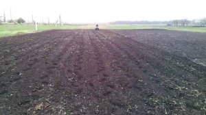 посев кукурузы мотоблоком и сеялкой