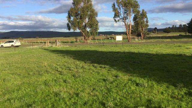 3 Thomas Street, Tunbridge смотреть онлайн