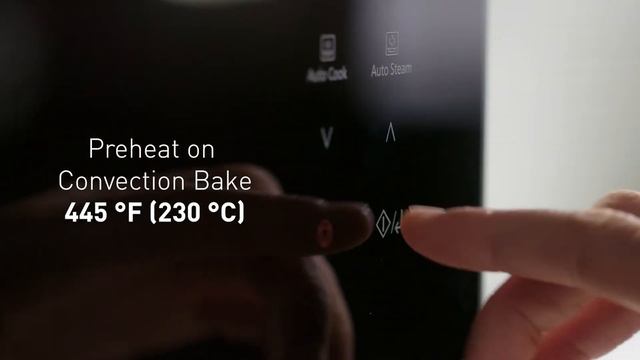No Knead Artisan Bread - Panasonic 4-in-1 Steam/Convection/Broil/ Microwave Oven смотреть онлайн