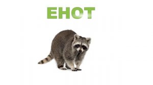 Карточки ДОМАНА ДИКИЕ ЖИВОТНЫЕ/Карточки для малышей/LEARN WILD ANIMALS / FLASHCARDS FOR KIDS