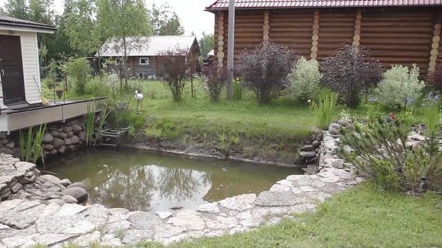 Очень красивый водоем на участке смотреть онлайн