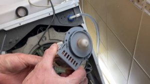 Zanussi не сливает воду