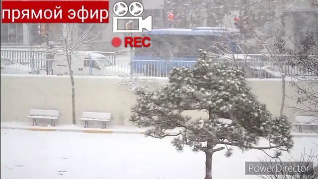 Погода на 5 дней (с 6 февраля по 10 февраля) смотреть онлайн
