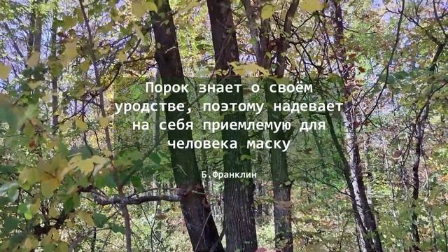 Как победить вредные привычки? смотреть онлайн