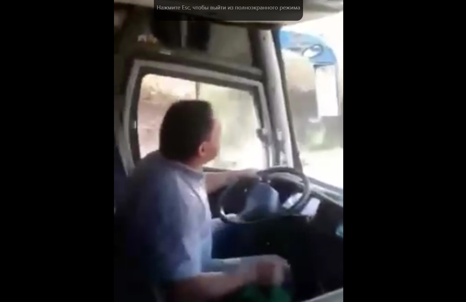 Самые забавные видео