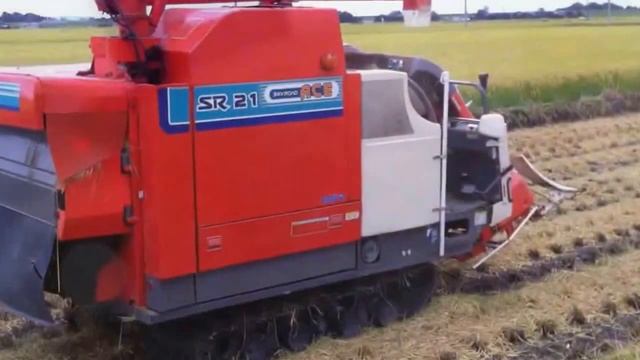 Уборка риса август-сентябрь 2013 Rice Harvest process смотреть онлайн