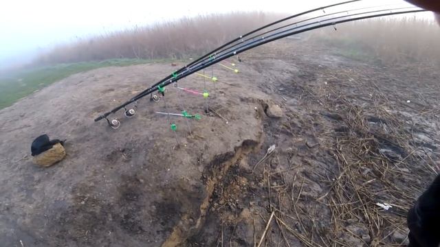 Крупный карась с берега смотреть онлайн