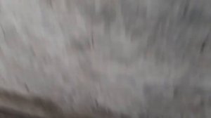 Тянет и бьёт руля на камазе. Искал причину в рессорах и наткнулся на реальную причину. Буду делать?