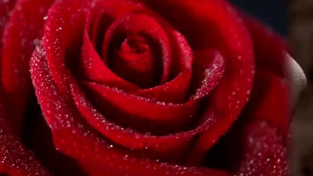 Liebe vergeht nie..03.11.2012 смотреть онлайн