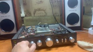 Колонки Элегия-102 и усилитель Лорта