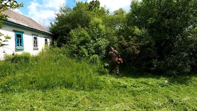 Почему бабушка просит остановиться, что мы сделали? смотреть онлайн