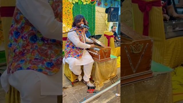 Zoii Hashmi wedding video | Pari Paro dance ? | Zoii Hashmi dulha | Zeeshan Rokhri new song 2022 смотреть онлайн