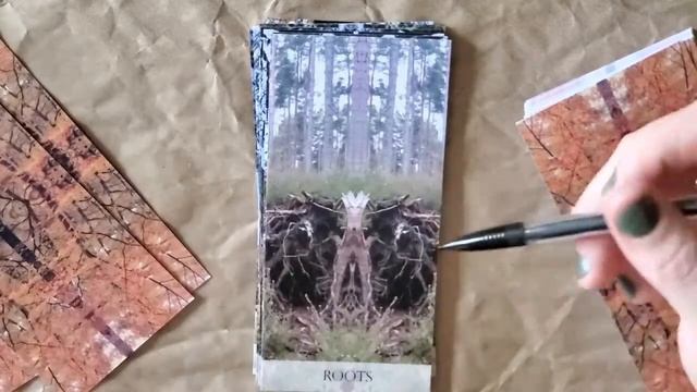 Tree Whisper Oracle ~ Unboxing and Intuitive Look ? смотреть онлайн
