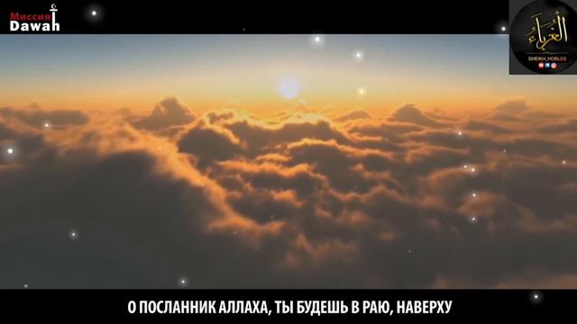 Мухаммад Хоблос - в Раю мы будем с теми кого любили при жизни. #любовь#ислам смотреть онлайн