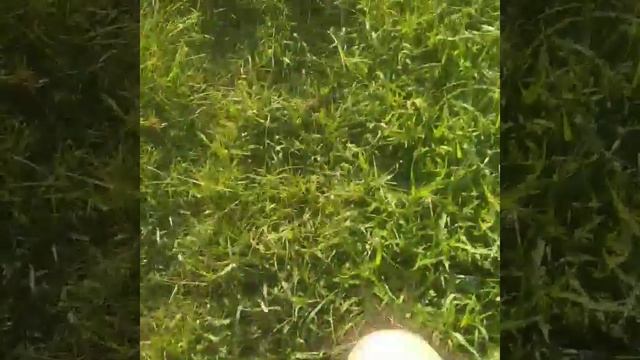 босиком по траве смотреть онлайн