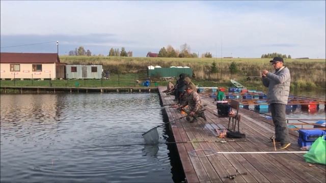 Утренние поимки форели. Клёвое место д.Савельево. смотреть онлайн