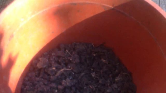 Удобрение грядок осенью смотреть онлайн