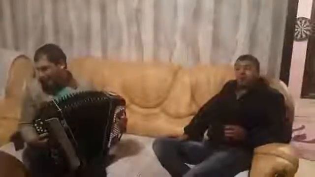 Gypsy songs Цыганские песни Верба смотреть онлайн