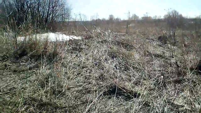 весна, второй выезд на #коп в 2018 г. Находки есть и это радует смотреть онлайн